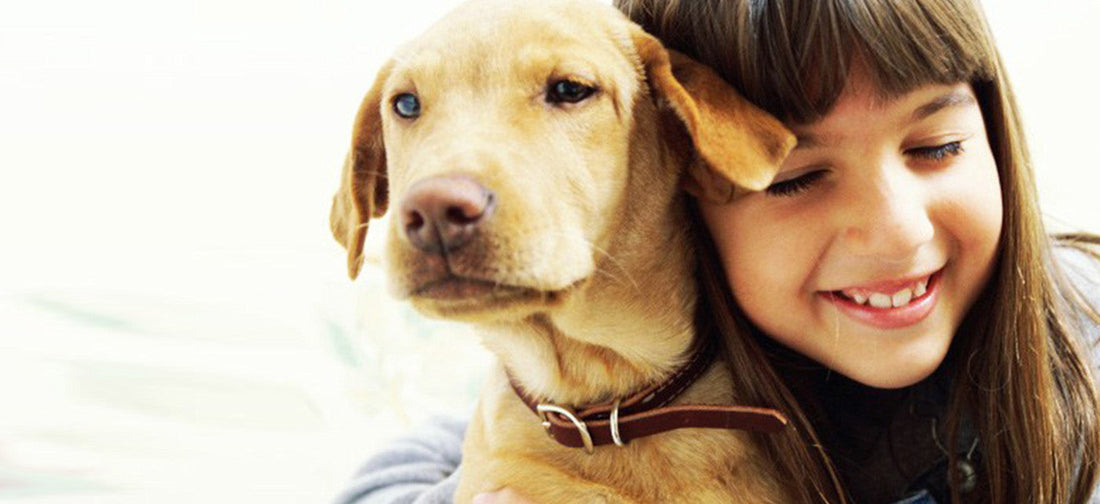 Pet Stain And Odor Removal