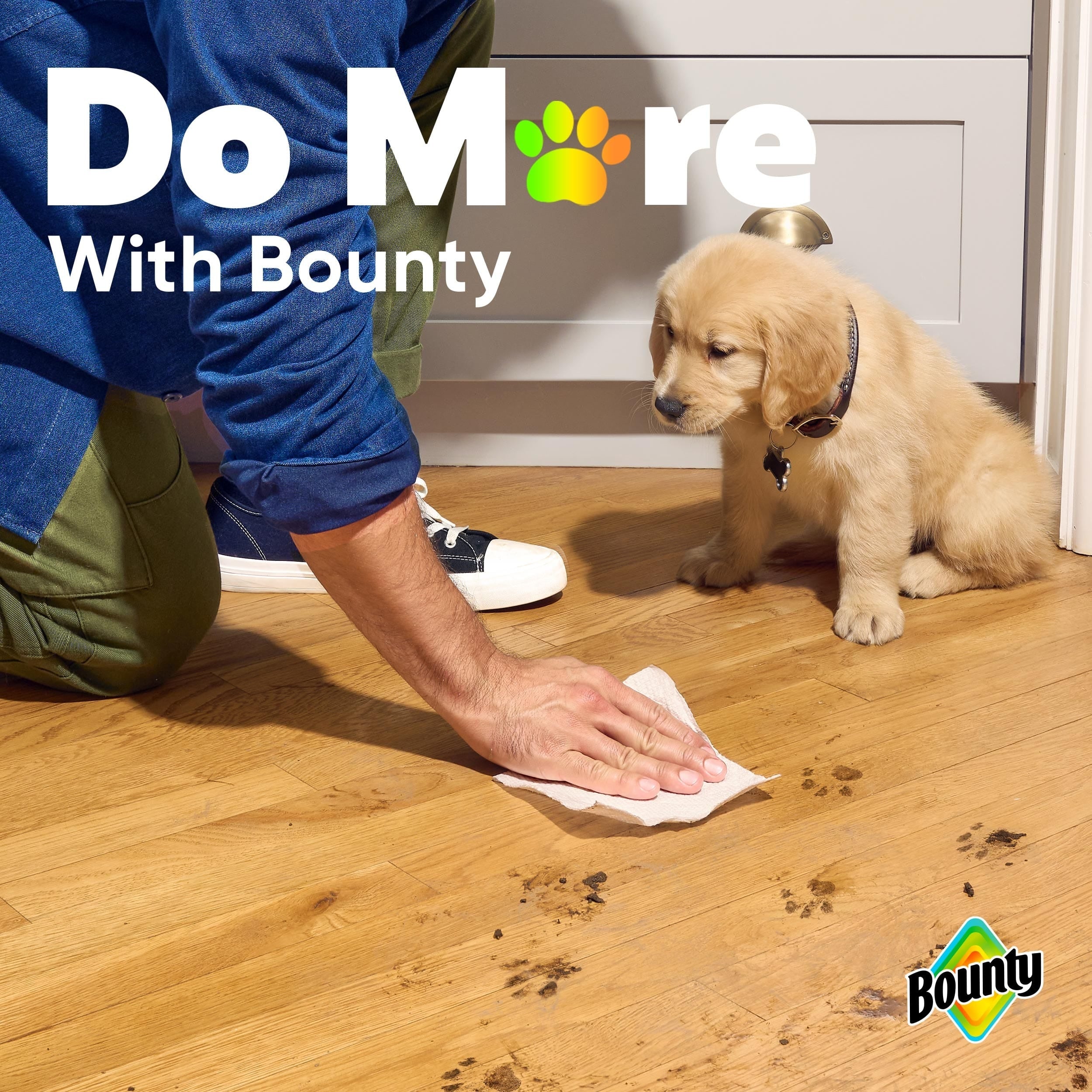 Bounty Prints Sheets, Paper Towels, Patented 3D Technology